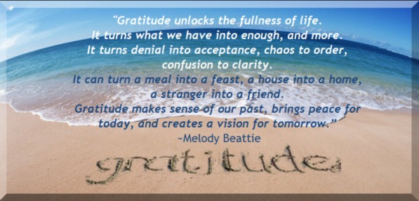 Gratitude (1)